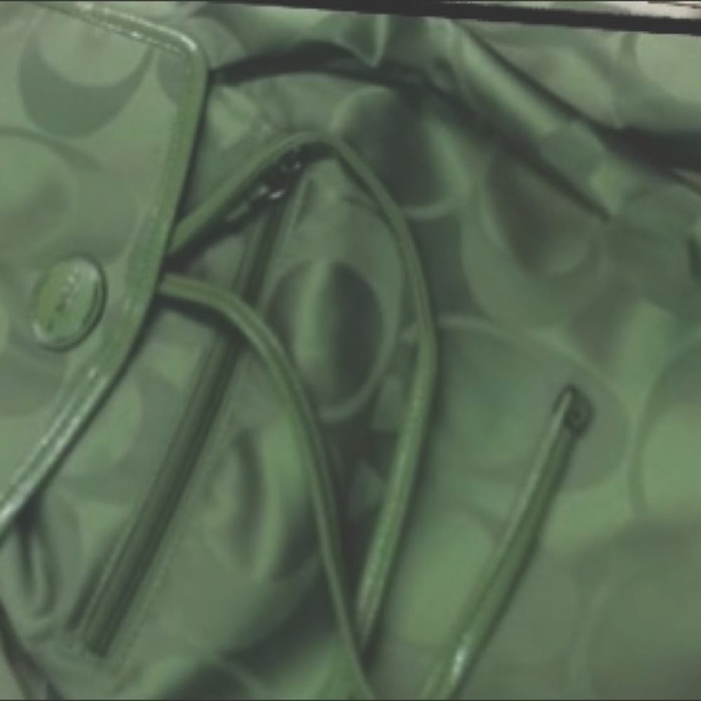 **RARE** SAGE; Coach bucket bag